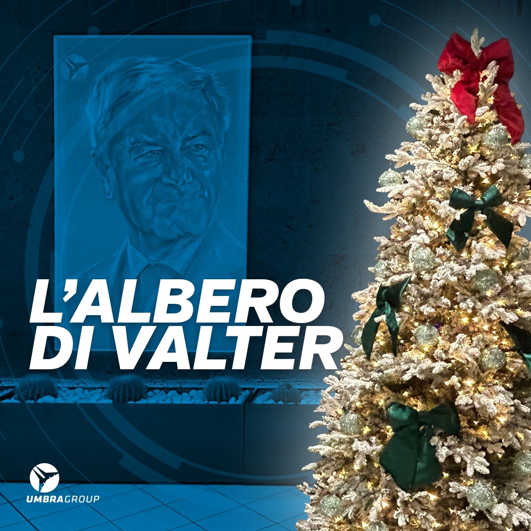 11 12 Albero di Valter 1 2346 69b2a9c1bc7e6